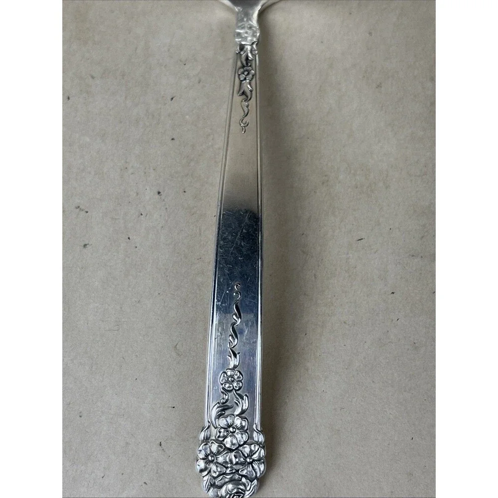 National‎ Silver King Edward HOLIDAY Silver Plate Gravy Ladle 6“